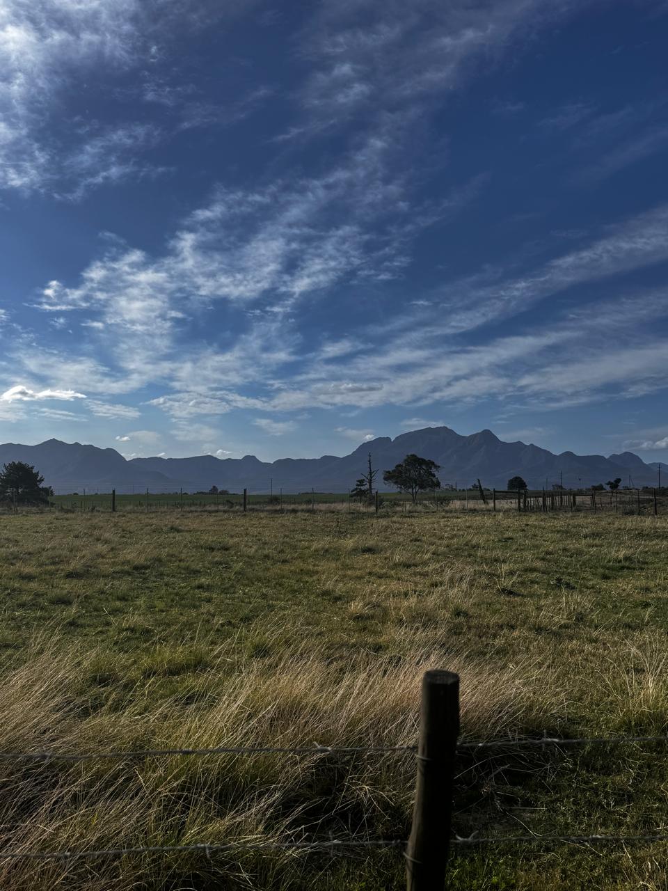 The open Braambos pasture with the Outeniqua range — space to roam, sky to breathe