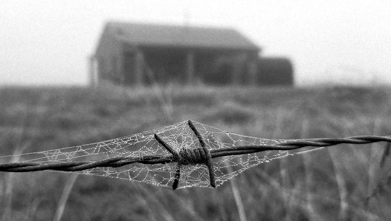 Dew-covered spiderweb on barbed wire at Braambos — the barn soft-focus behind